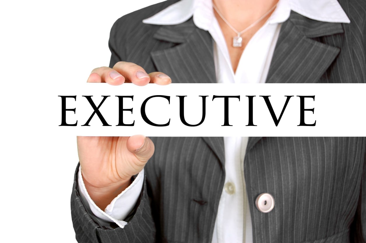 The word executive in front of a woman's torso in a grey pinstripe suit